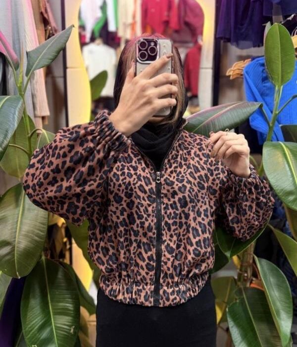 بامبرطرحدار