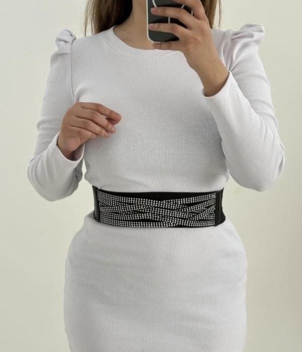 کمربندپشت کش تنوع دار